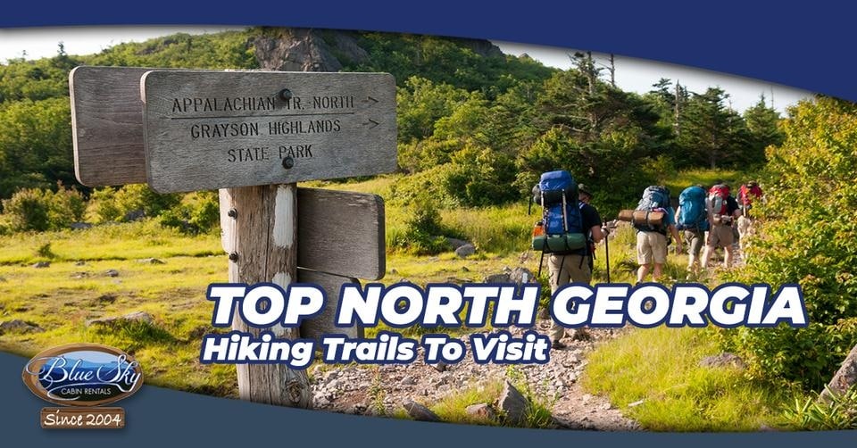 Top 19 North Georgia Hiking Trails Blue Sky Cabin Rentals 8088